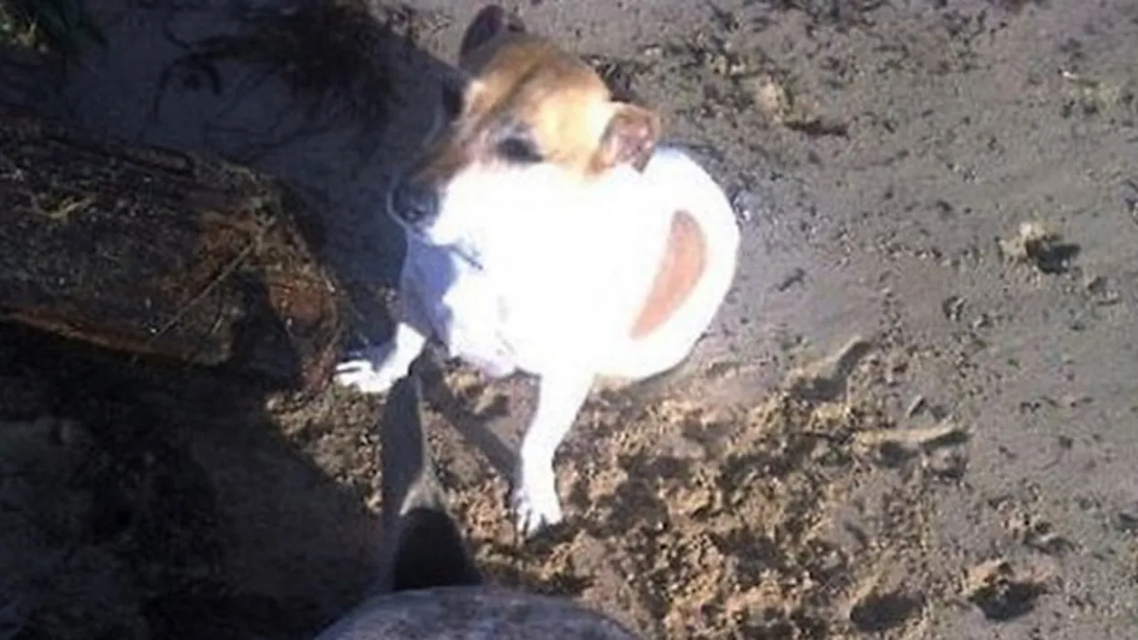 Gestul pe care nu i-l va ierta niciodata! Ce a facut sotul unei femei in timp ce yahtul pe care se afla aceasta se scufunda cu ea