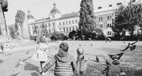 Galerie foto - poza 4