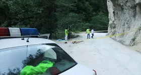 Galerie foto - poza 2