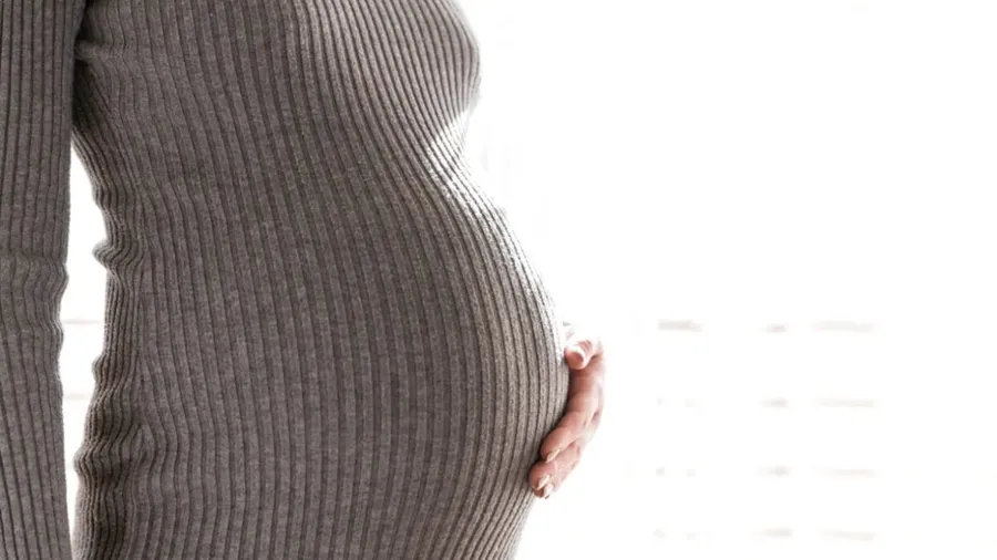 Sumele au fost achitate integral