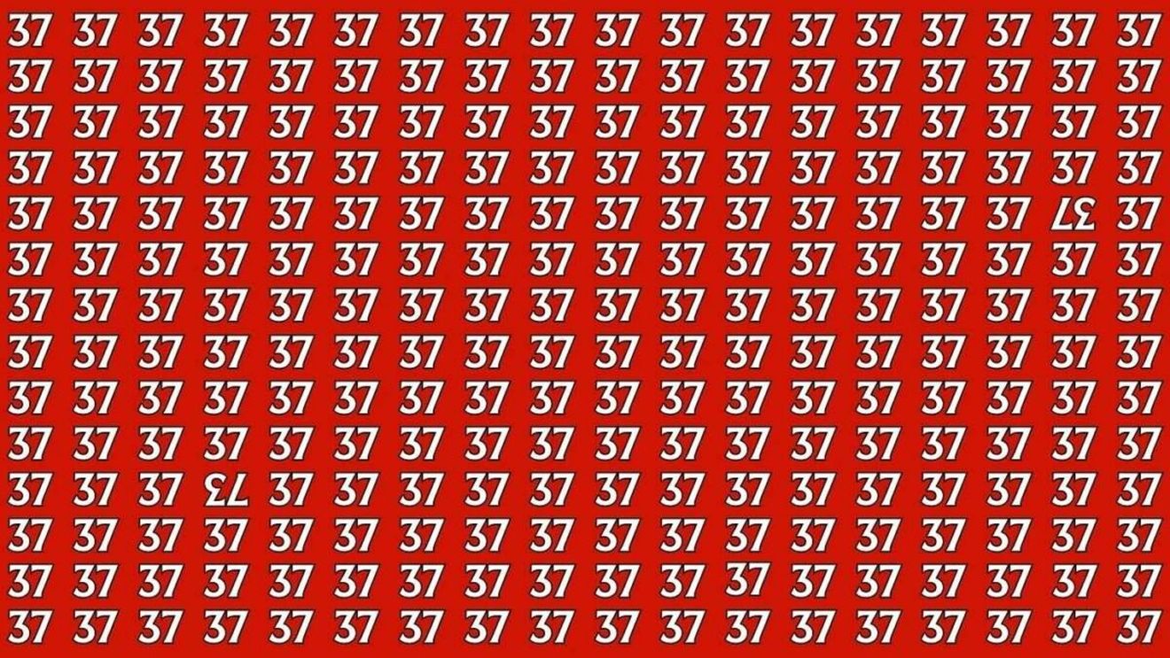 Test de inteligență | Găsiți numerele '37' și '73' care sunt inversate, în doar 15 secunde!
