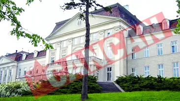 Fenechiu si Mariana, prima nunta VIP la castel