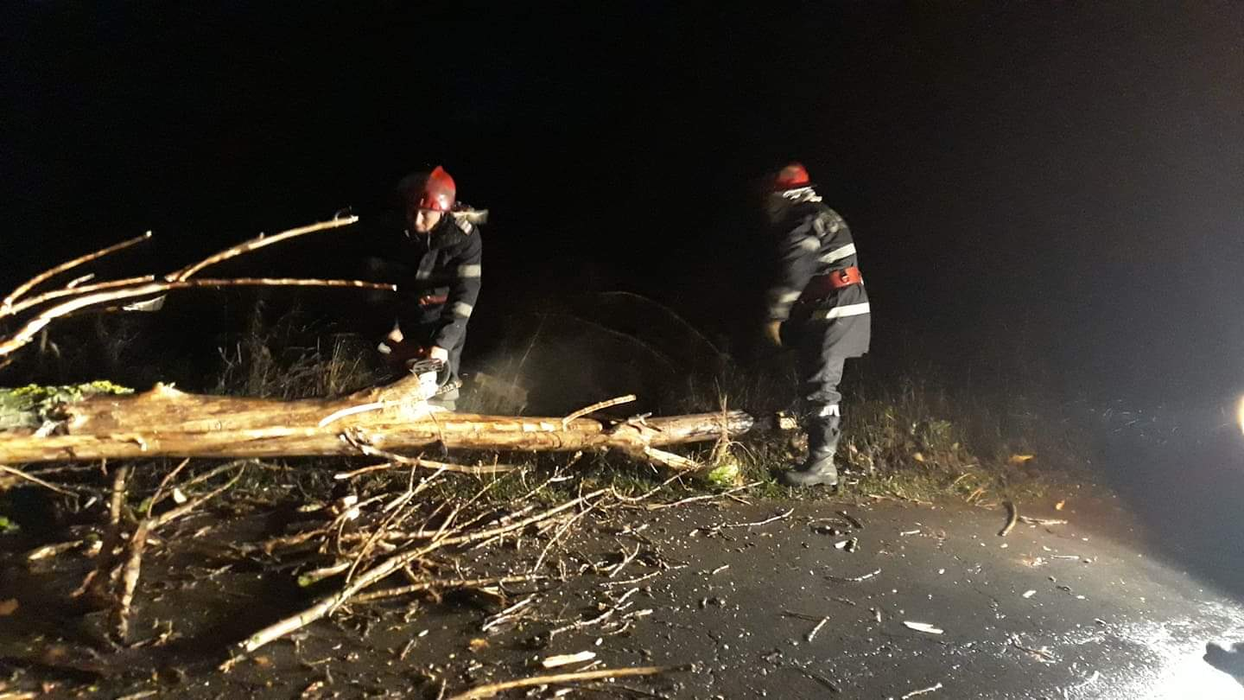 Vijeliile au făcut ravagii în Teleorman. Copaci căzuți peste mașini și peste firele de electricitate