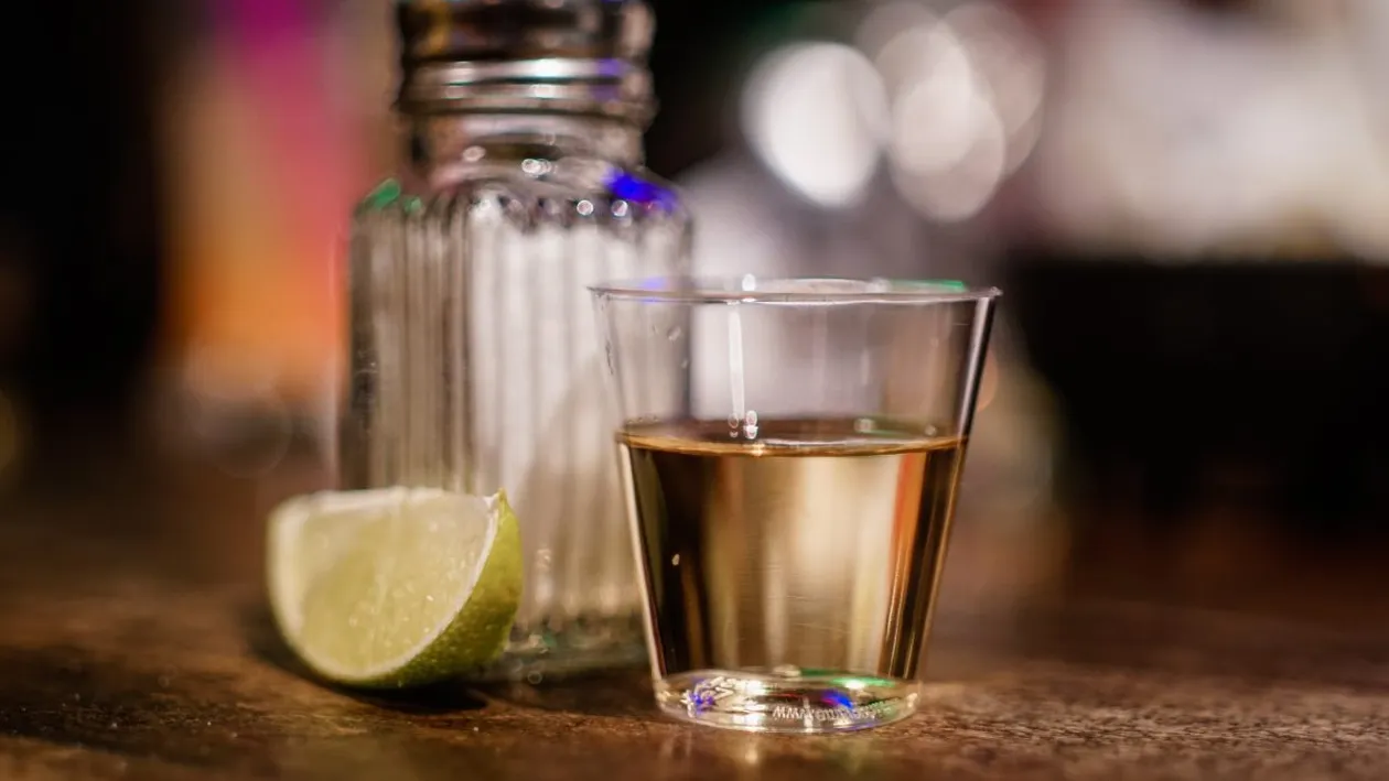 Nu doar tequila! Ce alte utilizări mai au agavele?