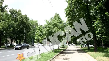 Bucurestenii vor face miscare in aer liber timp de noua weekenduri. Pe Kiseleff se opreste traficul pentru sport!