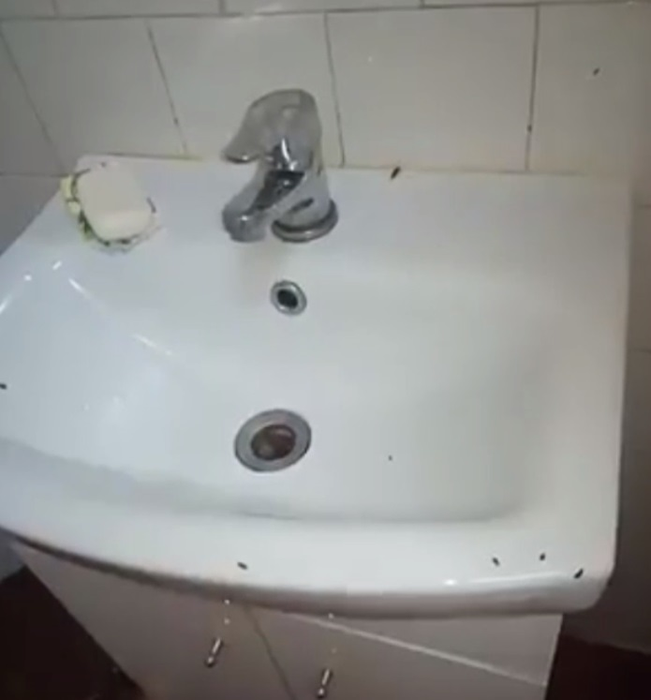 Mamele şi copiii erau îngroziţi de mizeria din spital