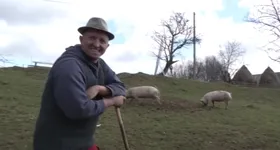 Galerie foto - poza 2