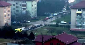 Galerie foto - poza 2