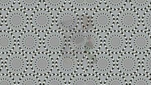 Test de inteligență | Ești un mega-geniu dacă poți numi animalul ascuns în această iluzie optică, în maximum 25 de secunde