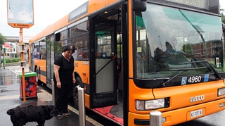 Cacao, cainele care ia in fiecare zi autobuzul prin Milano