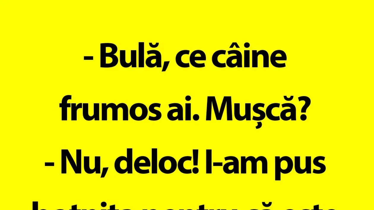 BANC | Câinele lui Bulă