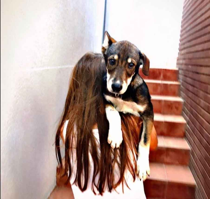 Drama Amaliei Năstase! Copiii ei au plâns trei zile dar acum minunea s-a produs! ”Vă mulțumesc din suflet, tuturor”