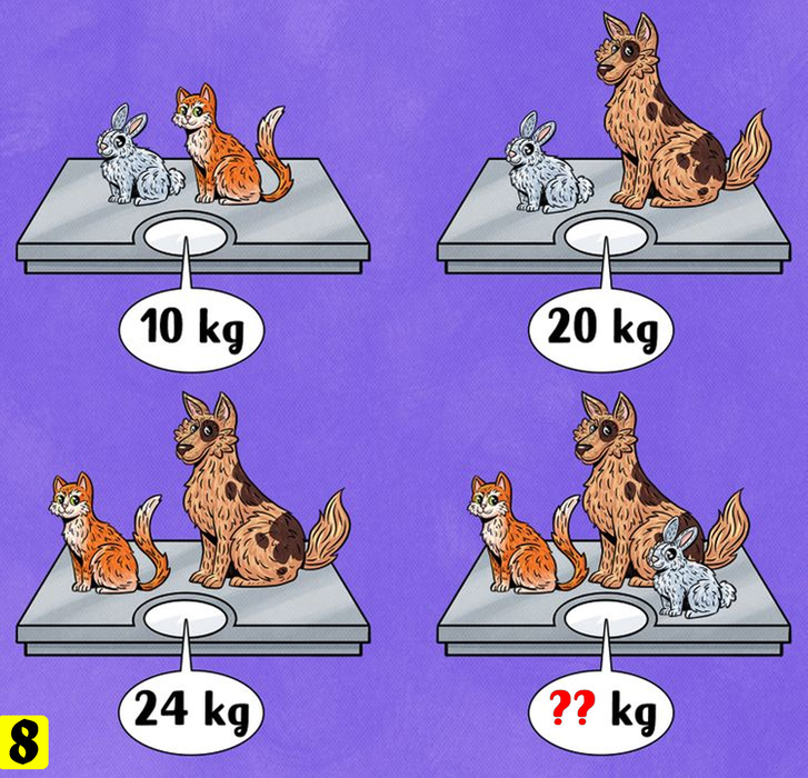 Test IQ cu 10 quiz-uri | Primul: Andra a primit aceste 2 poze de la iubitul ei. Și-a dat seama imediat că o înșală. Ce detaliu l-a dat de gol?