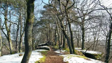 PROGNOZA METEO. Cum va fi vremea în următoarele zile. Când se întoarce primăvara