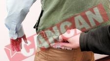 Caderea leului, o teapa data romanilor