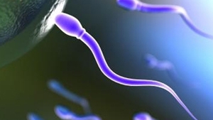 S-a descoperit tratamentul pentru barbatii infertili! Japonezii au creat sperma artificiala!