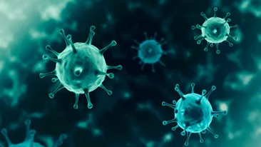 Avertismentul îngrijorător al specialiștilor: „Țineți cont de faptul că o să apară SARS-CoV-4”