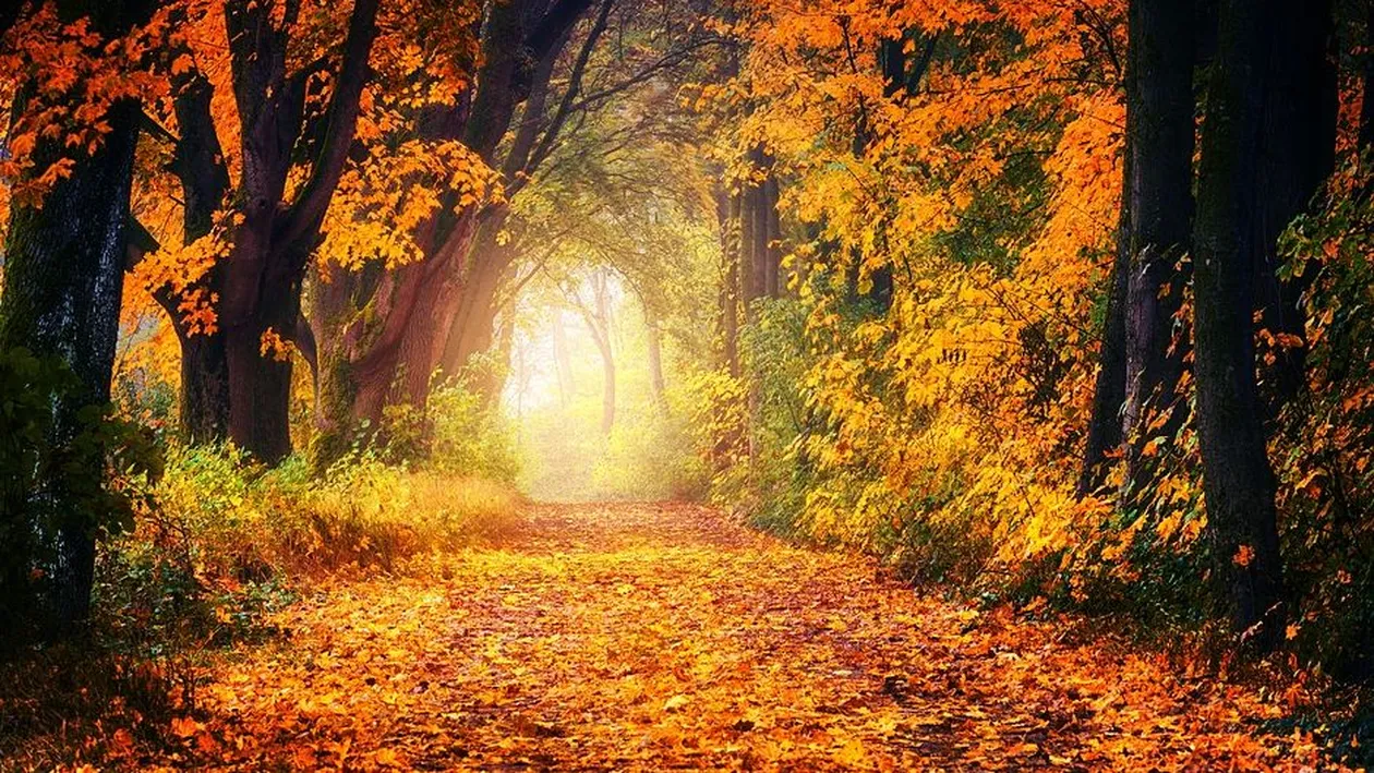 Prognoza meteo 20 septembrie: Maxime de 31 de grade!