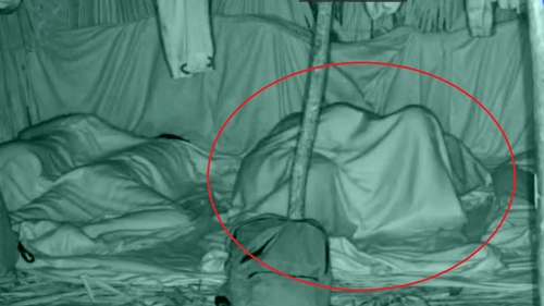 Andrei și Karina, amor sub patură la Survivor România?!? Imaginile filmate de camerele cu infraroșu vorbesc de la sine