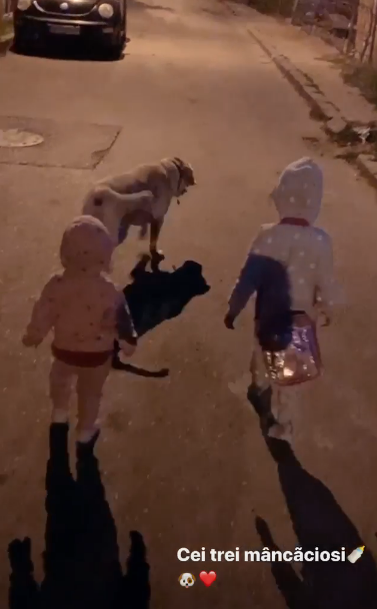 Uite ce nebunii fac micuțele Clara Maria și Ella Maya