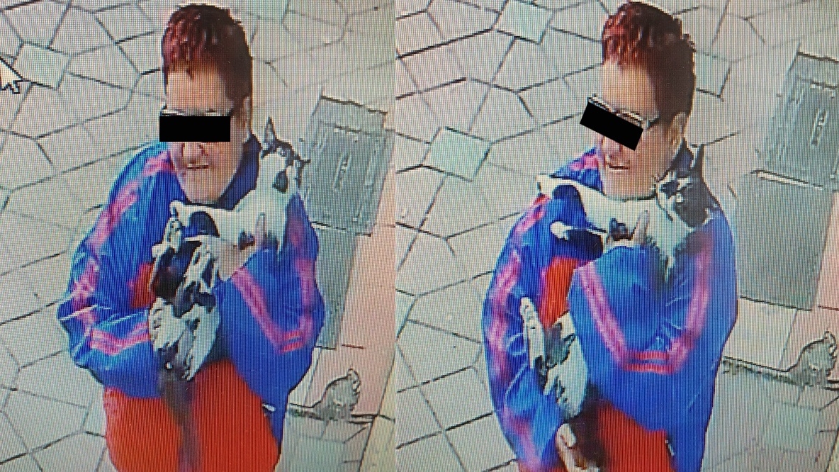Angajații unui cabinet veterinar din Iași au cerut ajutorul pe Facebook: “Această doamnă a luat un motan, nu știm ce intenții a avut”
