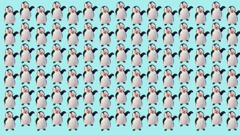 Test de logică | Găsiți singurul pinguin care nu seamănă cu ceilalți!