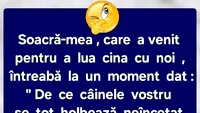 Bancul sfârșitului de săptămână | Soacra și câinele