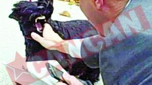 Terrierul lui Bush a muscat un reporter
