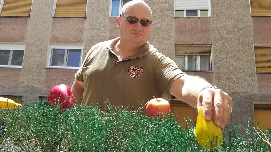 Trecătorii au "plantat" fructe în gardul vopsit