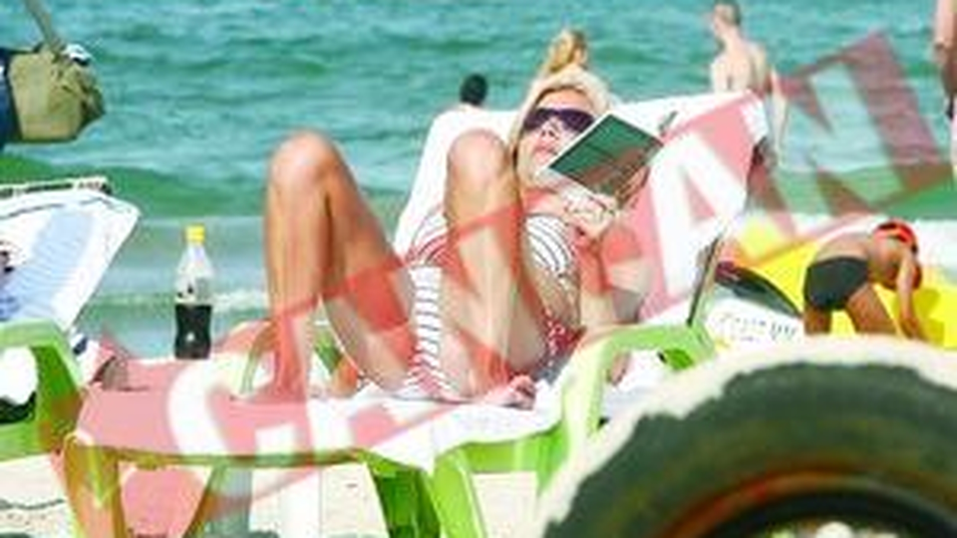 Elena Udrea dezminte ca s-a operat estetic