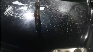 Și-a făcut praf mașina după ce a fost înșelat de iubită! Argeșeanul are dovezi: ”Am prins-o cu poze!”
