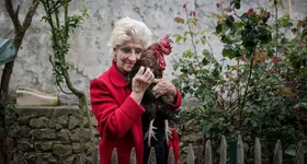 Galerie foto - poza 3