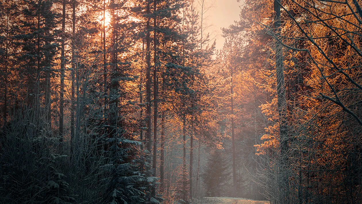 PROGNOZA METEO 8 DECEMBRIE: Vremea va fi în general frumoasă