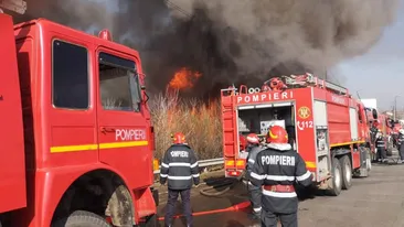 Incendiu puternic la un depozit de mașini din Voluntari! Autoritățile intervin de urgență! VIDEO