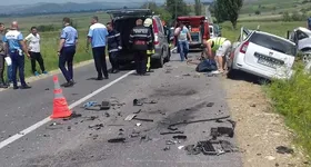 Galerie foto - poza 3