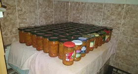 Galerie foto - poza 4