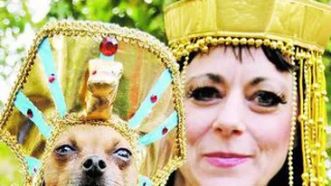 Si-au dus cainii la bal mascat