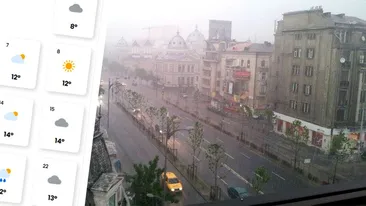 Prima prognoză pentru primăvara 2026 în România. Ce ne așteaptă în martie, aprilie și mai, potrivit meteorologilor EaseWeather