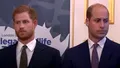 De ce îl urăsc Harry și Meghan pe Prințul William. Culisele marii gelozii din Familia Regală