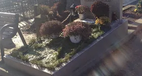 Galerie foto - poza 2