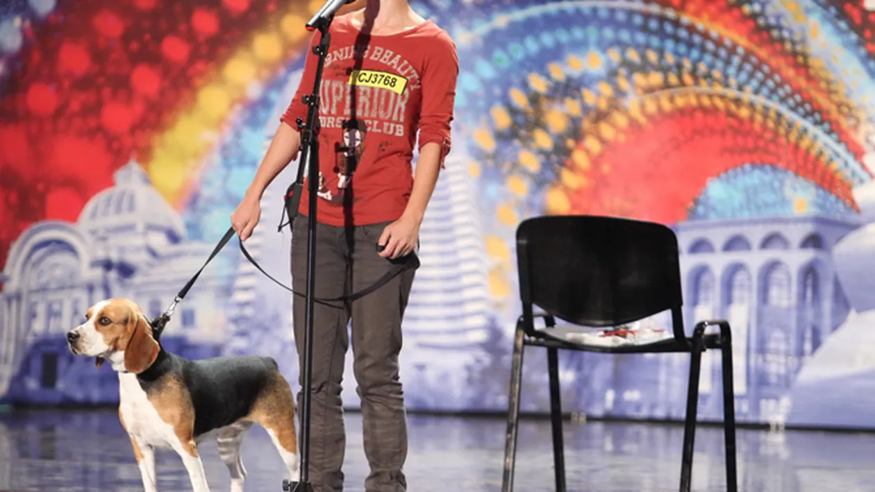 De la Stapanii au talent la Romanii au talent! Iulia isi dreseaza catelusa beagle de la trei luni