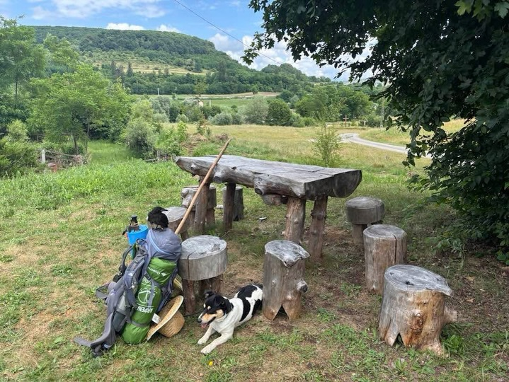 Ce animale de companie are Eduard Hordila de la Asia Express 2026. Sursa foto: Instagram