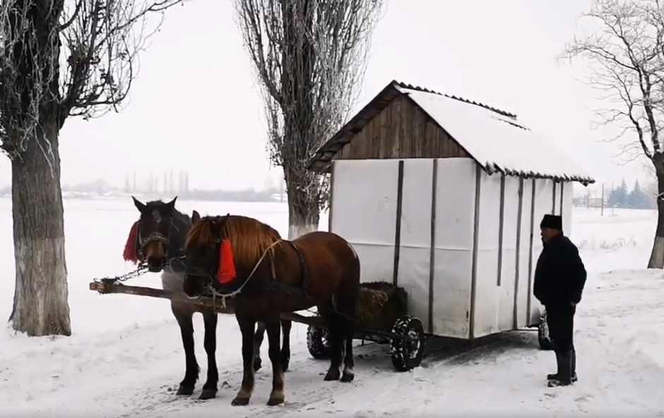 Ciobanul din Botoșani care și-a pus casa pe roți și e trasă de cai! Nea Ion își plimbă nevasta gravidă prin sat