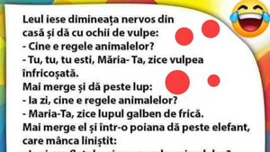 BANCUL ZILEI | Leul iese dimineața, nervos: "Cine e regele animalelor?"