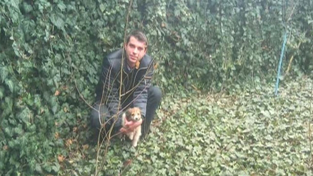 TRAGEDIE la Medias! O tanara a fost UCISA in propria casa!