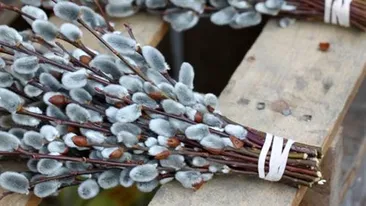 Tradiții și obiceiuri de Florii. Ce nu e bine să faci mâine, 9 aprilie