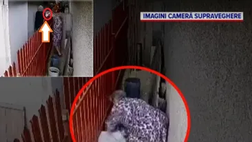 Cățel răpit în Galați! Două pensionare n-au mai suportat lătratul lui!