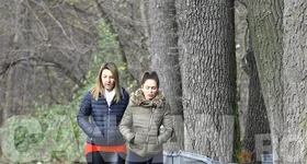 Galerie foto - poza 2