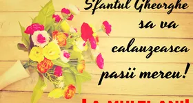 Galerie foto - poza 4