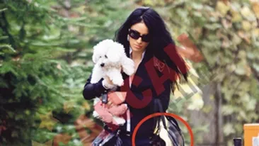 Adelina s-a chinuit sa-i care la veterinar